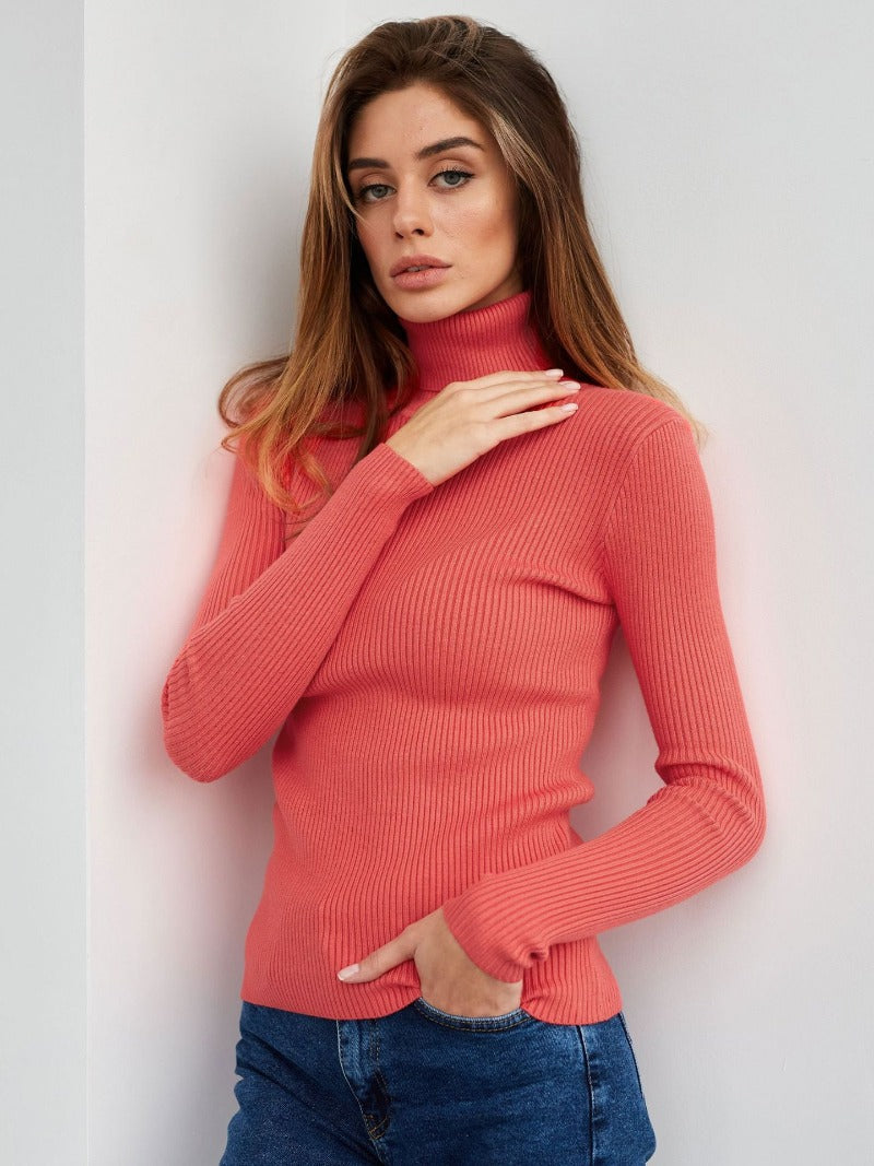 Becka Turtleneck Slim Women Sweater