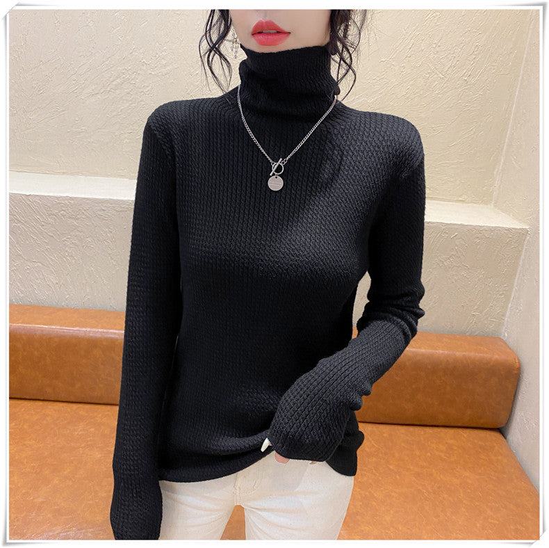 Mandy Turtleneck Women Sweater