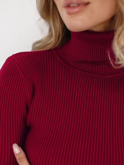 Becka Turtleneck Slim Women Sweater