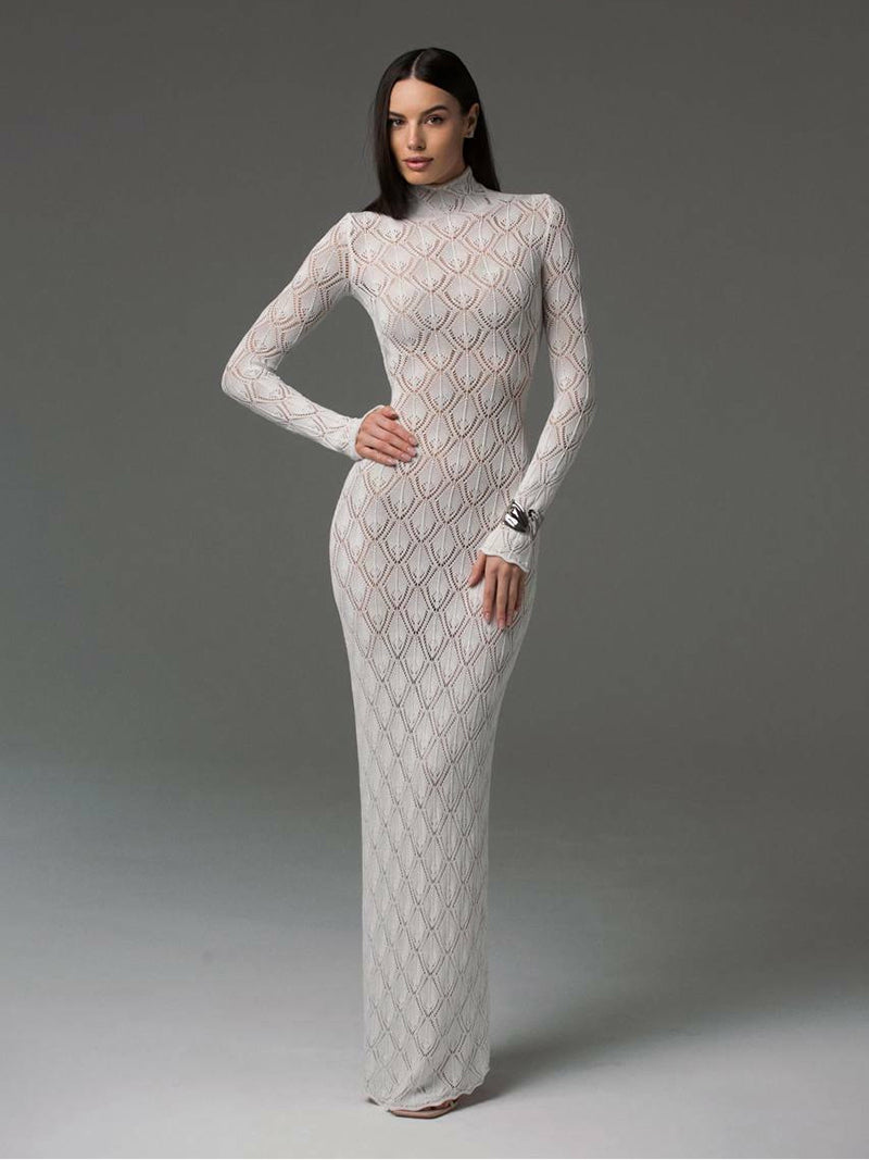 Jane Turtleneck Long Sleeve Knit Maxi Dress