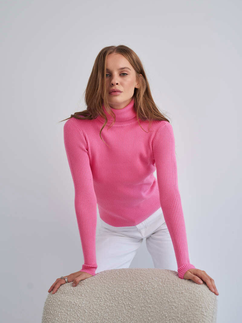 Becka Turtleneck Slim Women Sweater