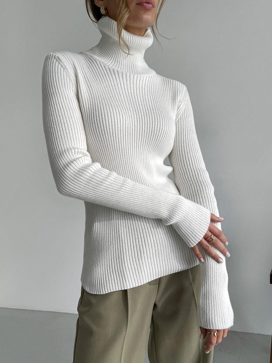 Denise Turtleneck Slim Women Sweater