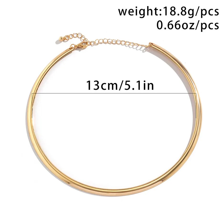 Whitney Vintage Iron Metal Torques Choker Necklace