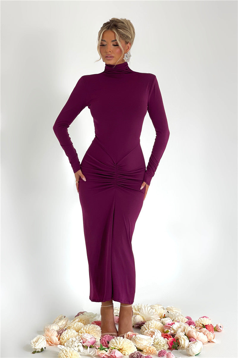 Kate Turtleneck Long Sleeve Bodycon Maxi Dress