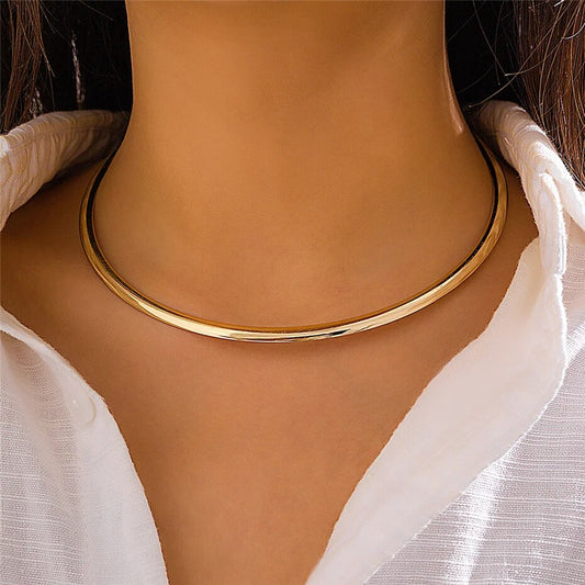 Whitney Vintage Iron Metal Torques Choker Necklace
