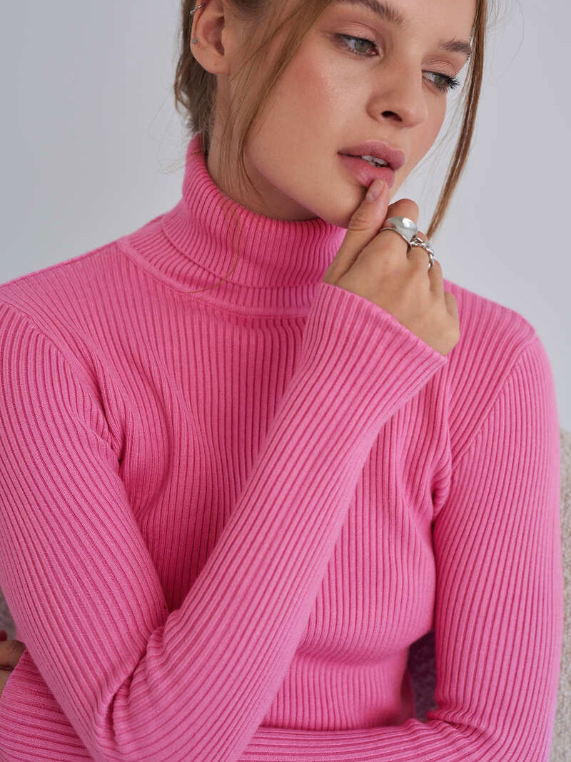 Becka Turtleneck Slim Women Sweater