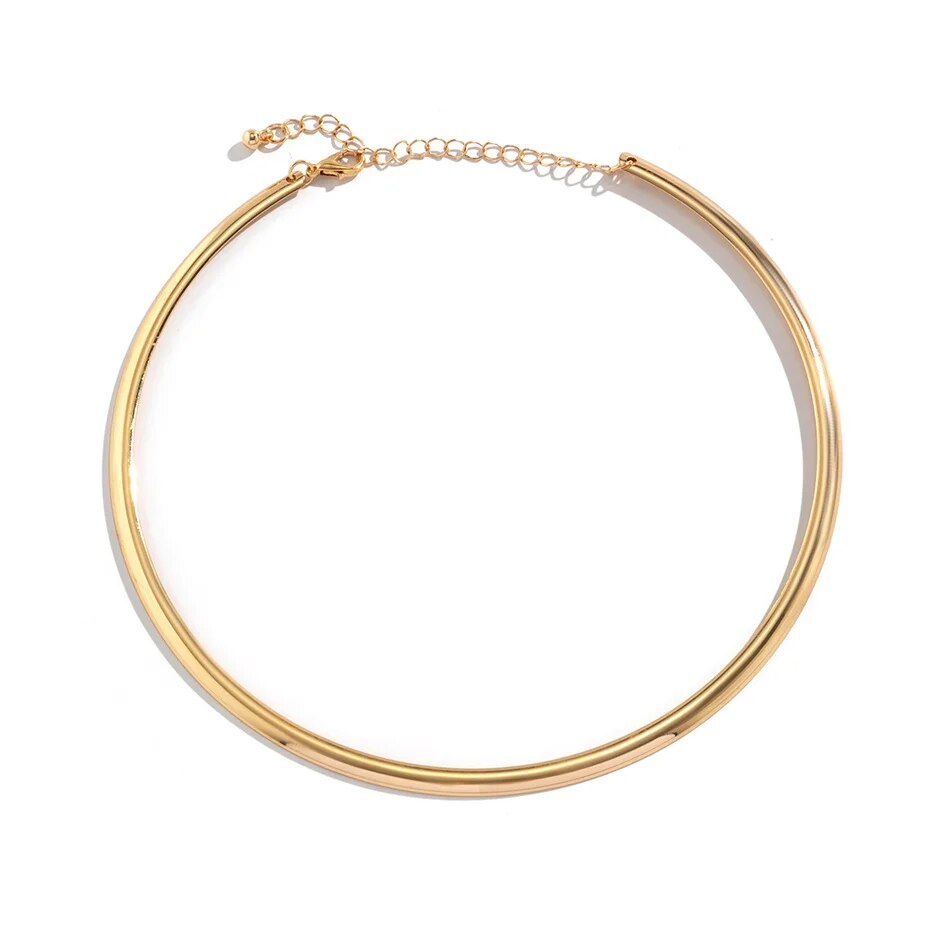 Whitney Vintage Iron Metal Torques Choker Necklace