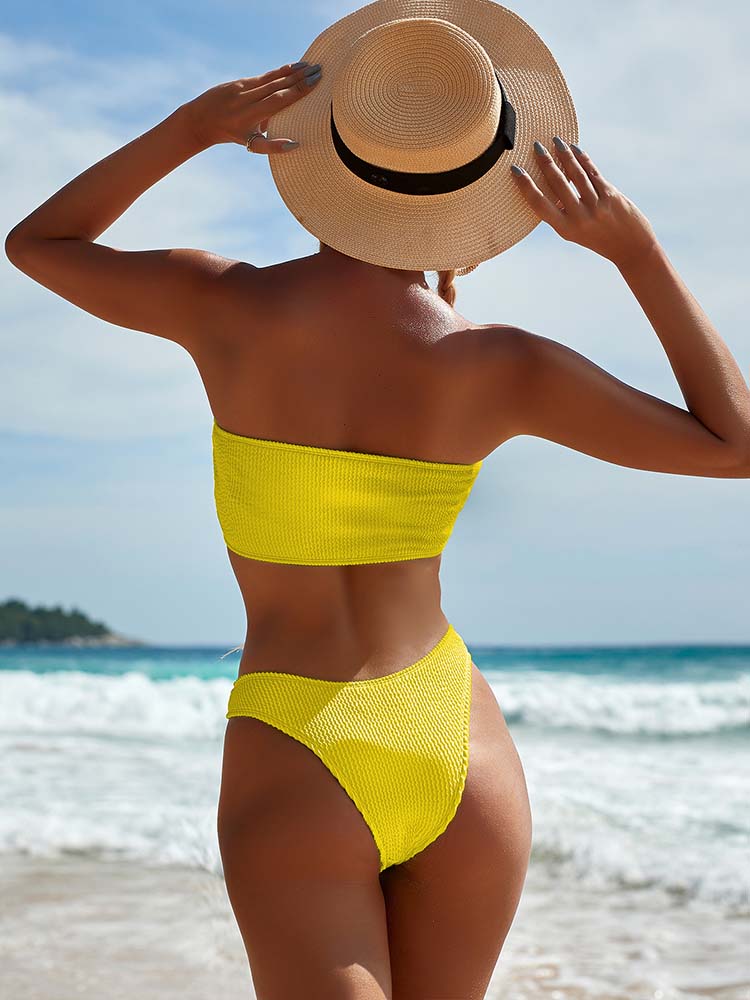 Ruby High Waist Tube Top Sexy Bikini