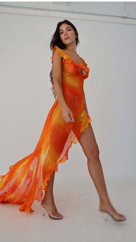 Gina Mesh Printed Hollow Out Maxi Dress
