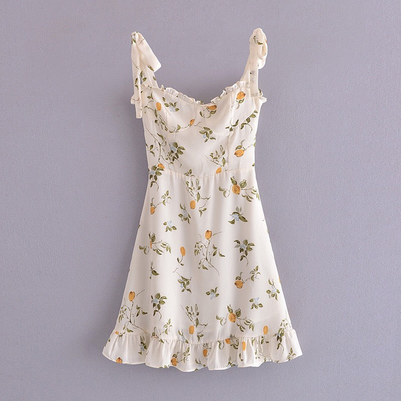 Donna Summer Vintage Grass Flower Print Mini Dress