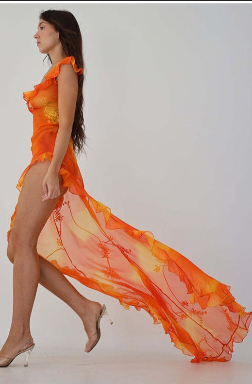 Gina Mesh Printed Hollow Out Maxi Dress