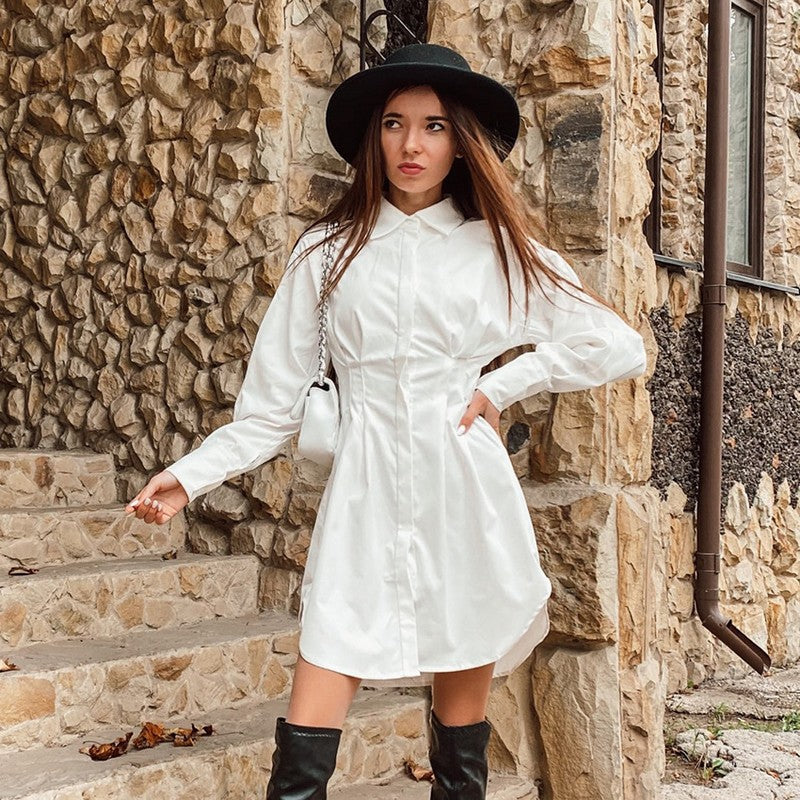 Karen Shirt Mini Dress