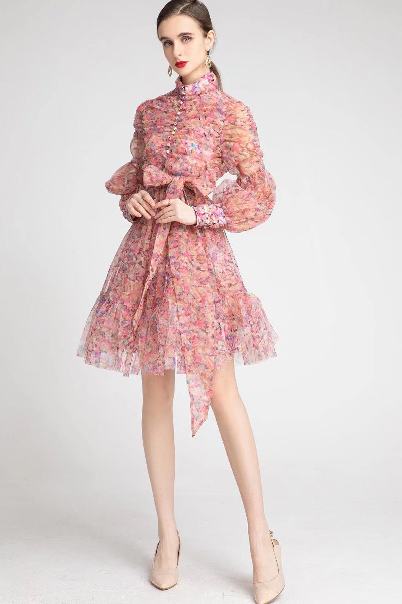 Bonnie Neck Lantern Sleeve Dress