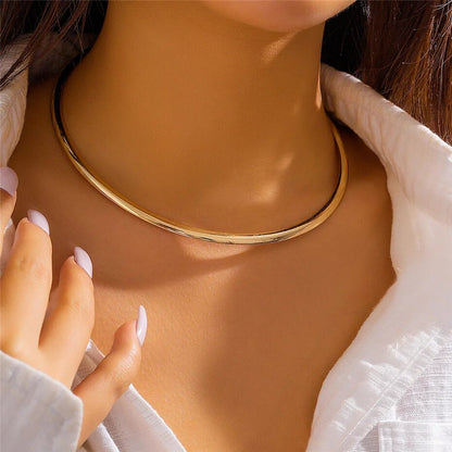 Whitney Vintage Iron Metal Torques Choker Necklace