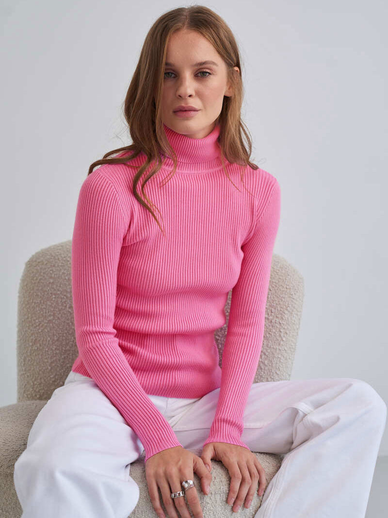 Becka Turtleneck Slim Women Sweater