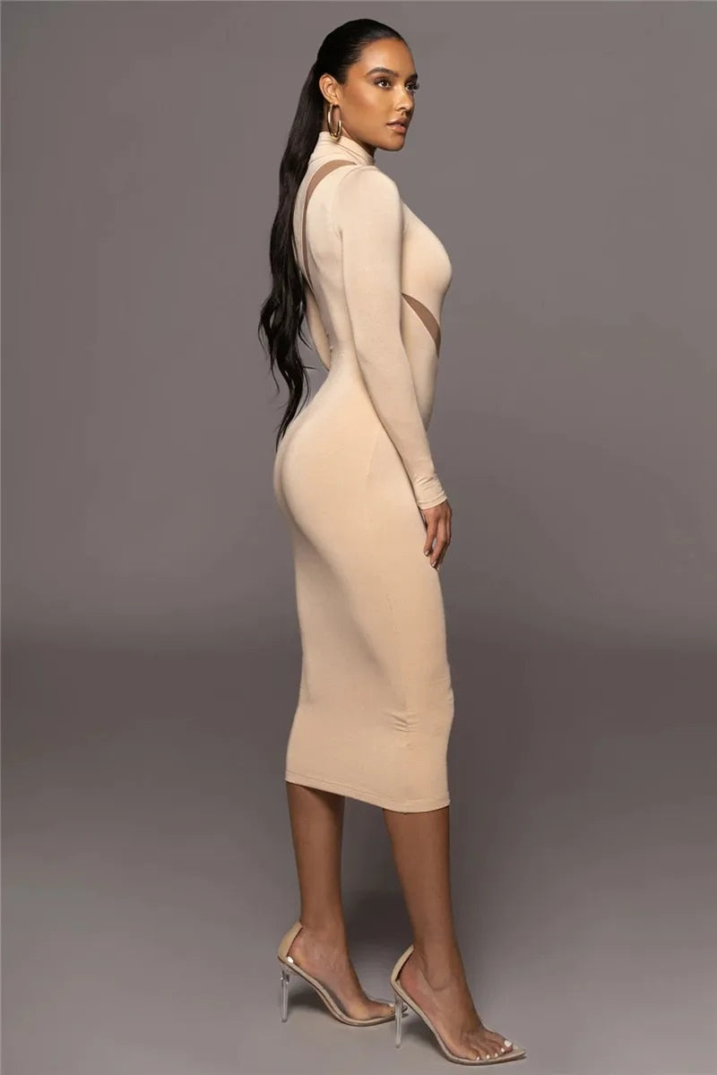 Alanna Long Sleeve Bodycon Sexy Maxi Dress