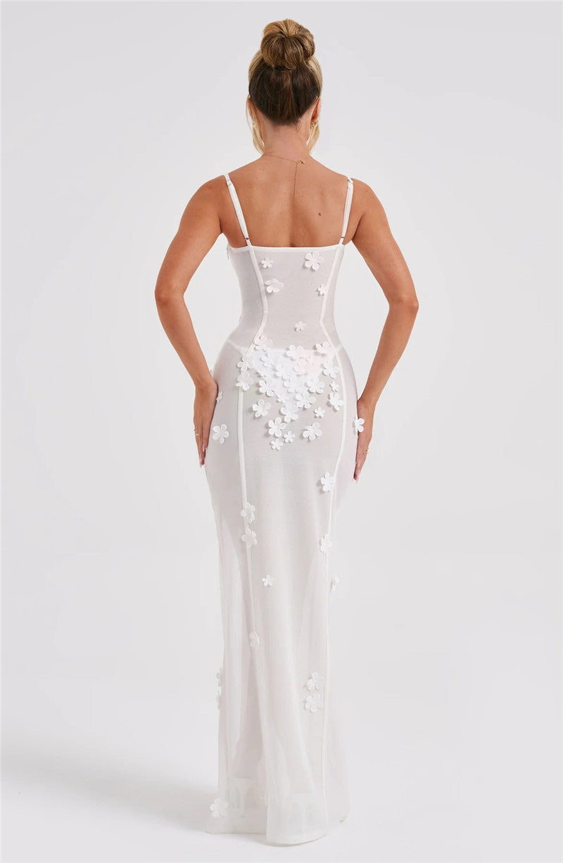 Dorothy Sheer Mesh Sexy Maxi Dress