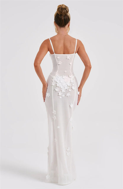 Dorothy Sheer Mesh Sexy Maxi Dress