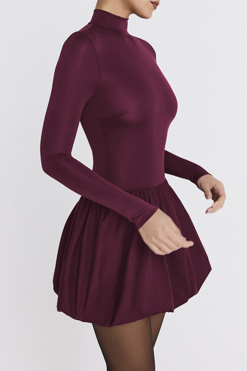 Stella Turtleneck Long Sleeve Sexy Mini Dress