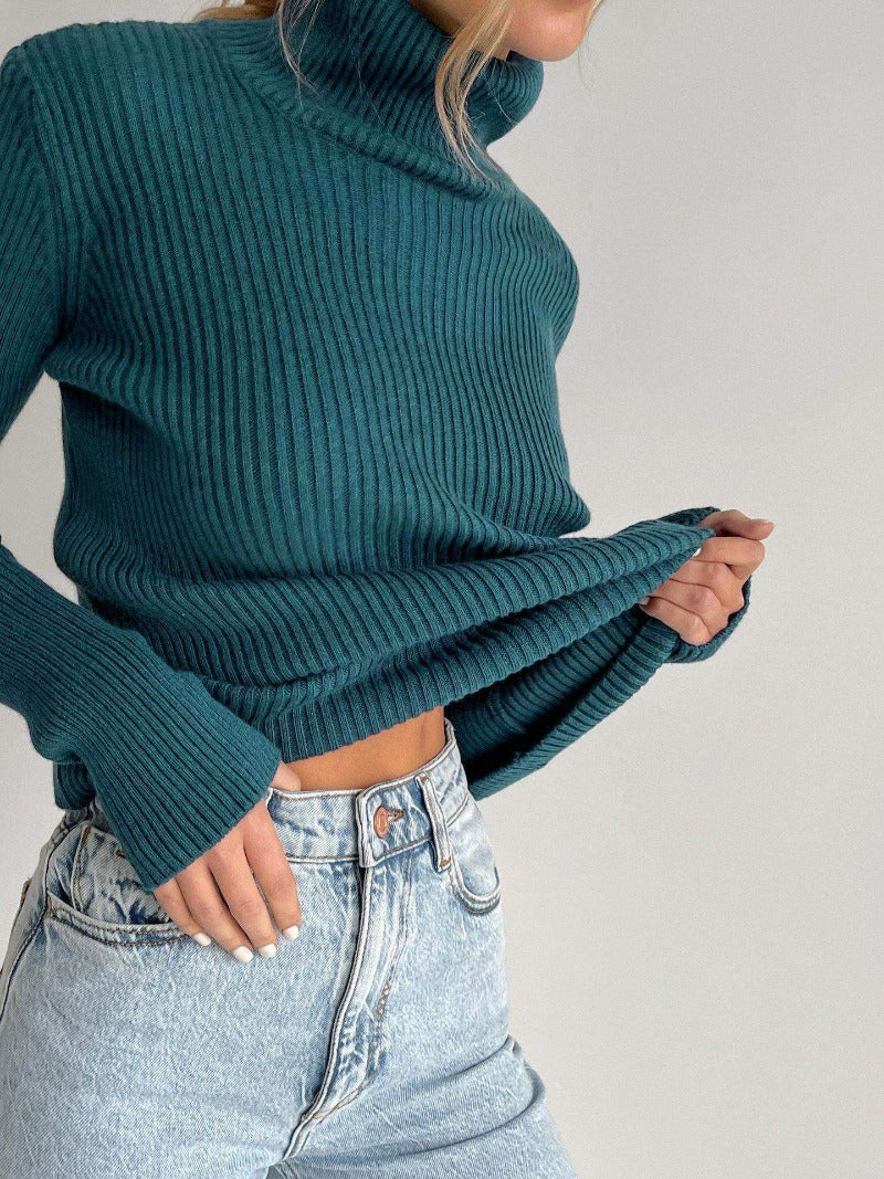 Lisa Turtleneck Women Sweater