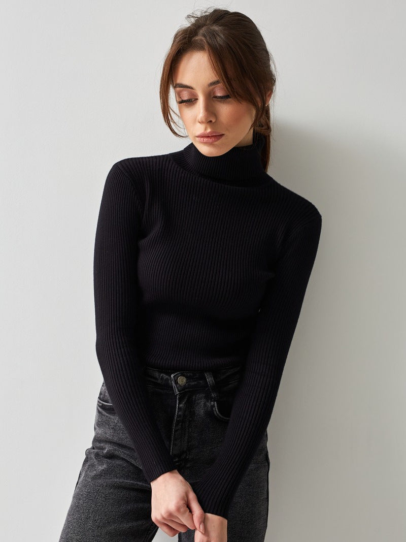 Dana Turtleneck Soft Warm Women Sweater