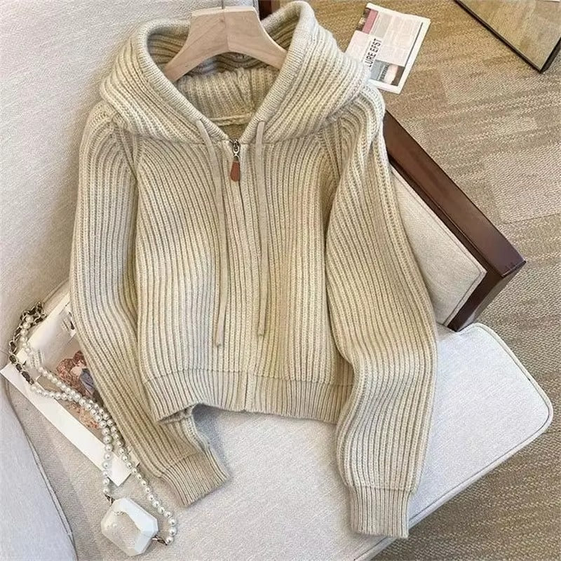 Retro Women's Hooded Long Sleeve Sweater
